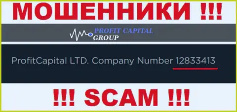 Рег. номер Profit Capital Group, который представлен обманщиками у них на web-сайте: 12833413