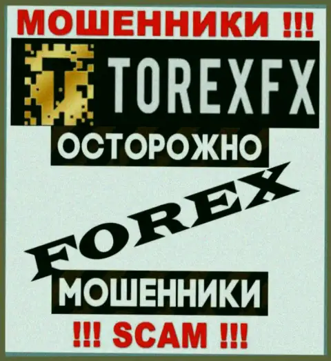 Тип деятельности TorexFX Com: ФОРЕКС - хороший заработок для мошенников