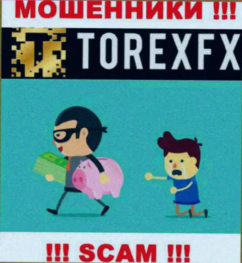 Довольно-таки опасно совместно сотрудничать с дилинговой компанией Torex FX - разводят валютных трейдеров