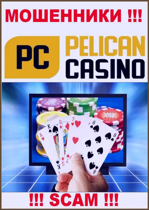 PelicanCasino Games обманывают малоопытных клиентов, прокручивая свои грязные делишки в сфере - Интернет-казино