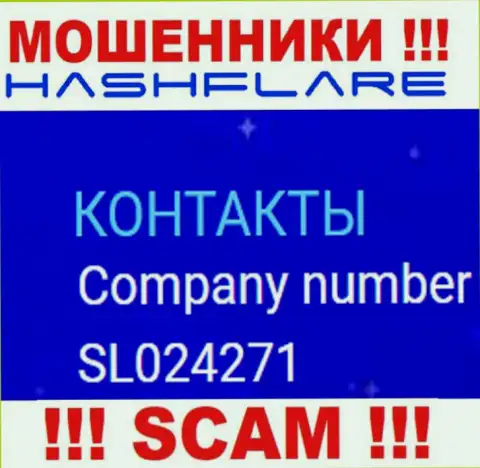 Регистрационный номер, под которым зарегистрирована организация Hash Flare: SL024271