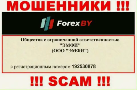 На портале мошенников Forex BY приведен именно этот номер регистрации указанной конторе: 192530878