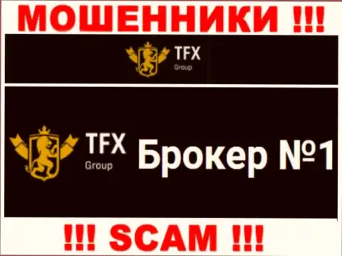 Не стоит доверять деньги TFX Group, поскольку их направление деятельности, Forex, развод