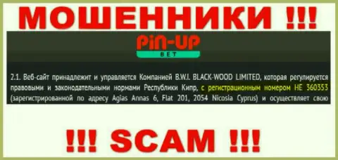 Не взаимодействуйте с организацией PinUp Bet, номер регистрации (HE 360353) не повод отправлять денежные активы