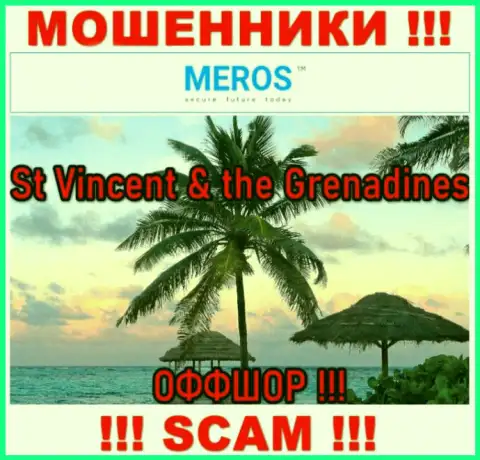 St Vincent & the Grenadines - это юридическое место регистрации организации Meros TM