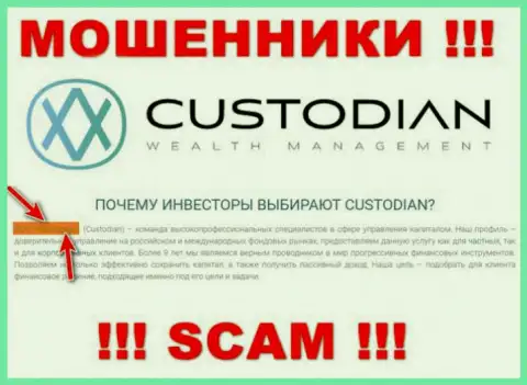 Юр. лицом, управляющим интернет-мошенниками Кустодиан, является ООО Кастодиан