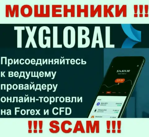 Во всемирной сети internet прокручивают свои грязные делишки разводилы TXGlobal Com, тип деятельности которых - FOREX