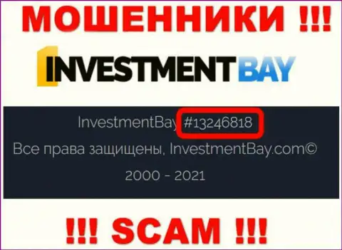 Регистрационный номер, под которым официально зарегистрирована организация Investment Bay: 13246818