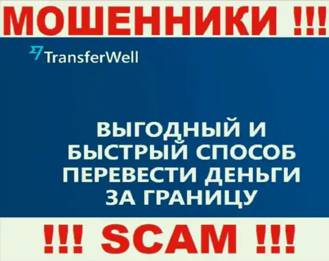 Не стоит верить, что работа TransferWell Net в области Платежная система законная