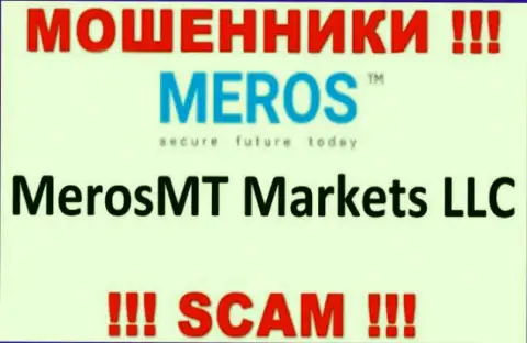 Организация, которая управляет мошенниками MerosTM Com - MerosMT Markets LLC