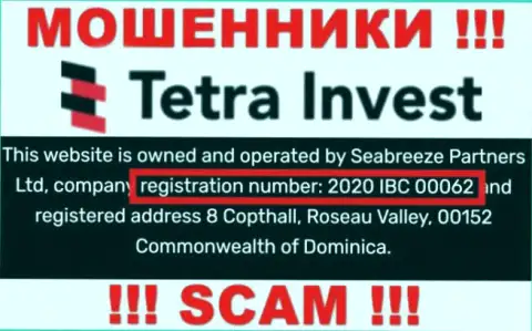 Регистрационный номер internet мошенников Tetra Invest, с которыми крайне опасно совместно работать - 2020 IBC 00062