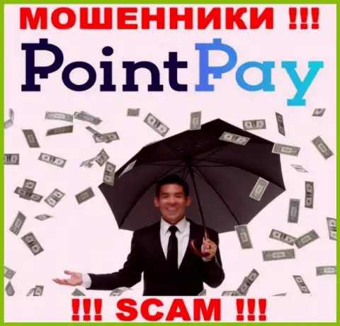 Не попадите в ловушку internet-обманщиков Point Pay, финансовые вложения не вернете обратно