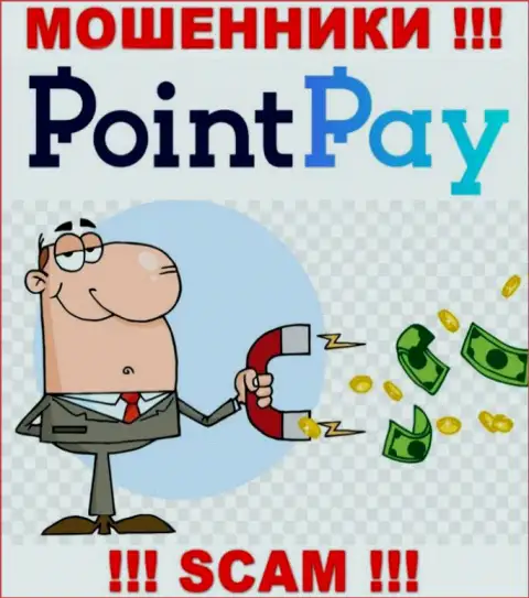 Point Pay денежные средства не возвращают, никакие налоги не помогут