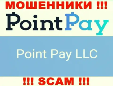 Юридическое лицо internet мошенников Point Pay LLC - это Point Pay LLC, сведения с web-сервиса шулеров