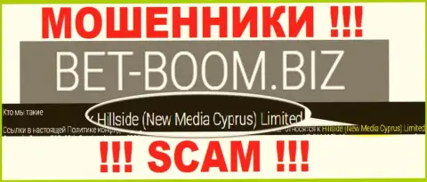 Юридическим лицом, управляющим мошенниками BetBoom Biz, является Хиллсиде (Нью Медиа Кипр) Лтд