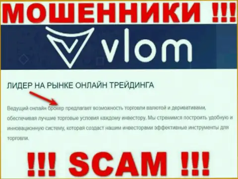 Махинаторы Vlom Com выставляют себя профессионалами в сфере Broker