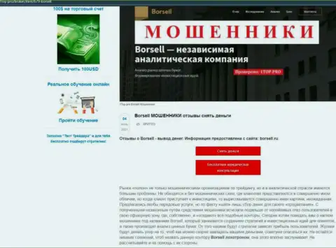 Обзор мошеннических деяний scam-проекта Borsell Ru - это ЖУЛИКИ !