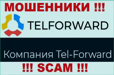 Юридическое лицо TelForward Net - это Тел-Форвард, такую инфу расположили обманщики на своем сайте