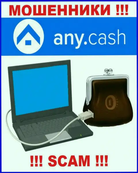 Any Cash - это КИДАЛЫ, вид деятельности которых - Виртуальный online кошелек