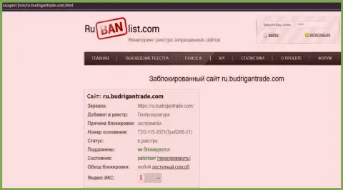 Информационный ресурс БудриганТрейд Ком в пределах Российской Федерации был заблокирован Генпрокуратурой