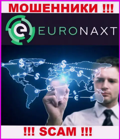 Не отдавайте денежные средства в EuroNaxt Com, род деятельности которых - Брокер