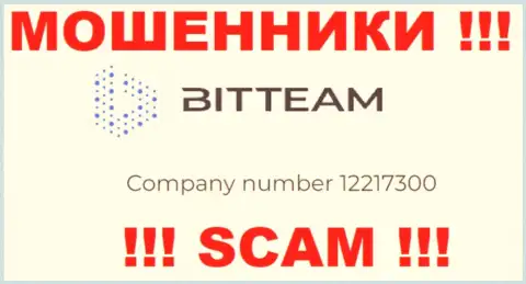 Номер регистрации конторы BitTeam - 12217300