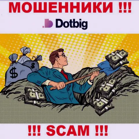 DotBig Com работает только лишь на ввод финансовых средств, именно поэтому не ведитесь на дополнительные финансовые вложения