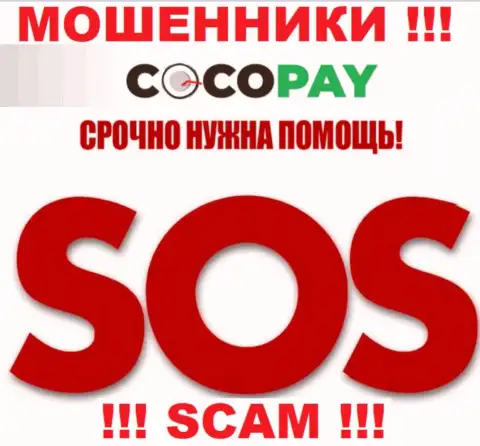 Можно еще попытаться вернуть обратно финансовые активы из организации Coco-Pay Com, обращайтесь, расскажем, что делать