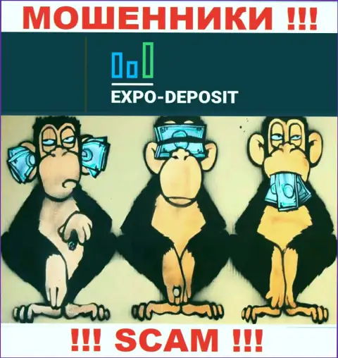Взаимодействие с организацией Expo-Depo приносит только проблемы - будьте очень внимательны, у интернет мошенников нет регулятора