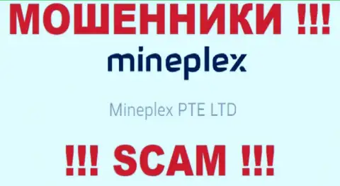 Руководителями МинеПлекс является компания - Mineplex PTE LTD