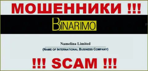 Юридическим лицом Namelina Limited считается - Namelina Limited