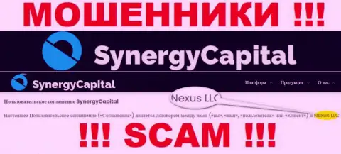 Юридическое лицо, которое владеет мошенниками Synergy Capital - это Нексус ЛЛК