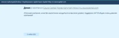 Дилинговая компания CauvoCapital описана в комментарии на сайте Ревокон Ру
