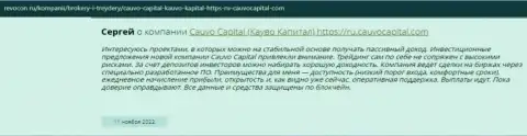 Мнение валютного игрока об дилинговой компании CauvoCapital на онлайн-сервисе Revocon Ru