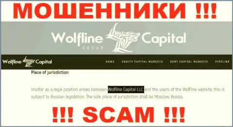 Юр. лицо конторы Wolfline Capital - это ООО Волфлайн Капитал