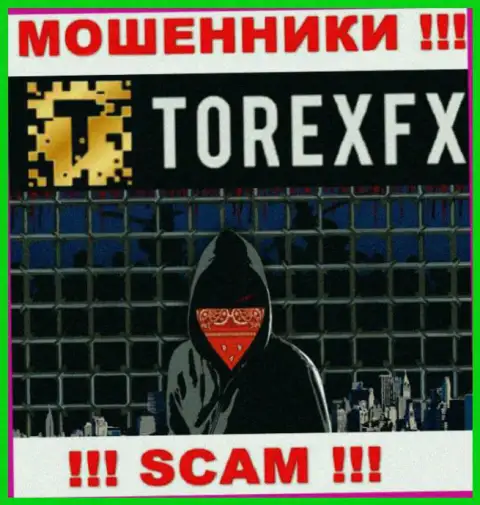 TorexFX скрывают инфу о руководителях компании